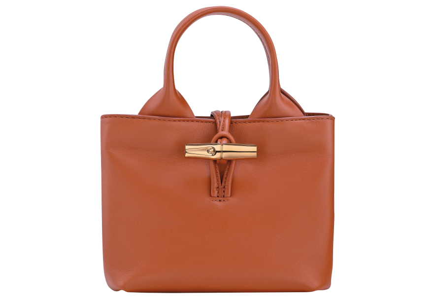 Longchamp 10278HGC - CUIR DE VEAU - ECORCE sac à main xs le roseau sleek Sac business
