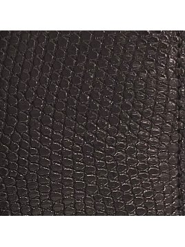 Beynat et Janniaux PI7LEZ - LEZARD - NOIR beynat & janniaux-lézard-portefeuille 15.1 Portefeuilles