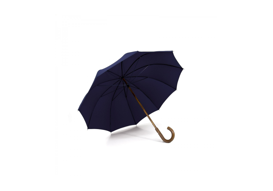 Maison Pierre Vaux VX-5049 parapluie canne le berger canne mixte