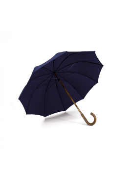 Maison Pierre Vaux VX-5049 parapluie canne le berger canne mixte