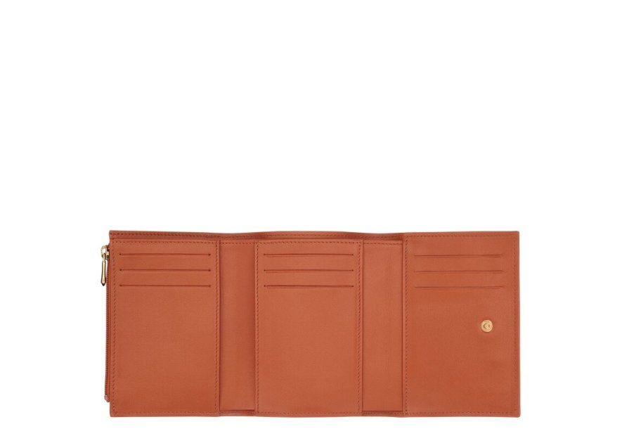 Longchamp 30021HGC portefeuille compact le roseau longchamp pmpb