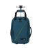 154985/91G012 - PETS - BLEU HAVR