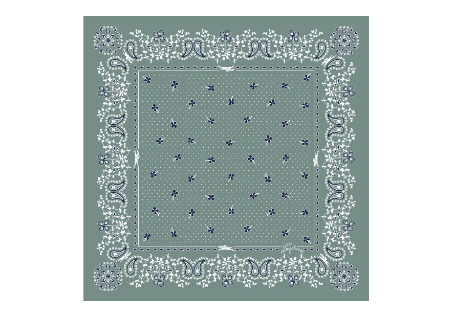 carré de soie 50x50 cm