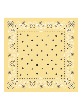 carré de soie 50x50 cm