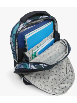 Caméléon BAS-SD39 sac à dos enfants 39cm de caméléon Loisirs