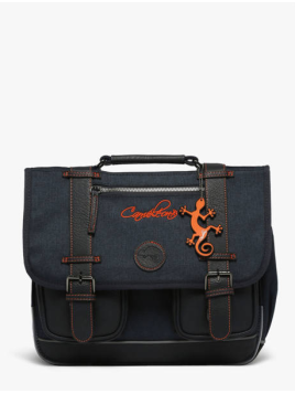 cartable caméléon vintage...