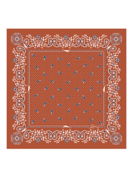 carré de soie 50x50 cm