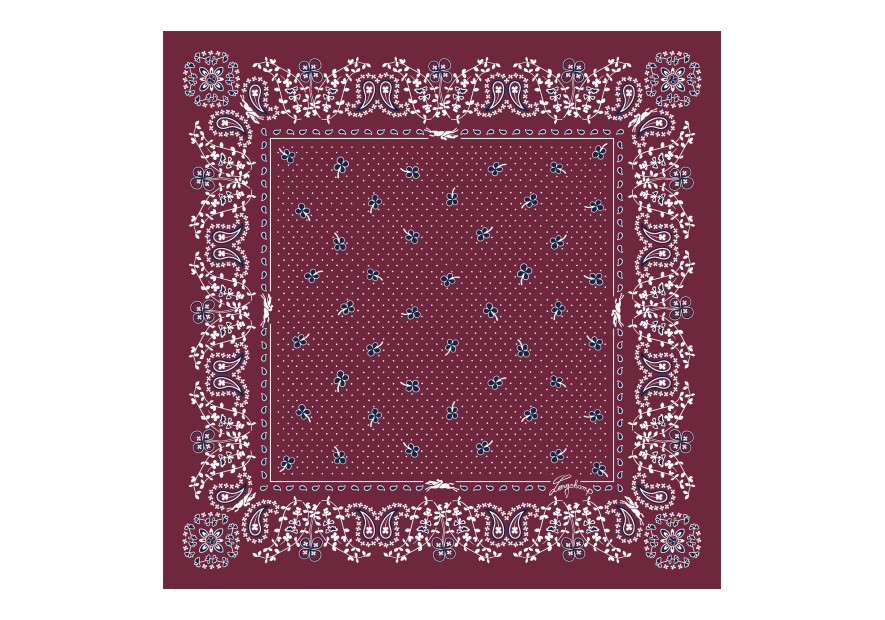 Longchamp 50657GSO carré de soie 50x50 cm carre de soie