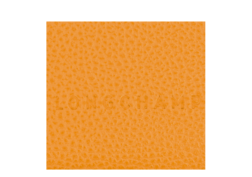 Longchamp 3218/021 - CUIR DE VACHETTE - AB porte carte le foulonné porte cartes