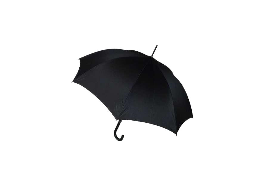Guy De Jean GDJ SENIOR parapluie canne homme senior canne h