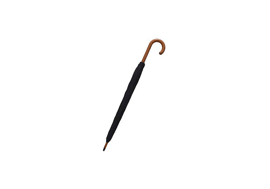 Guy De Jean GDJ AUTEUIL parapluie canne homme auteuil canne h