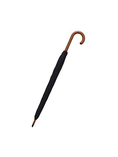 Guy De Jean GDJ AUTEUIL parapluie canne homme auteuil canne h