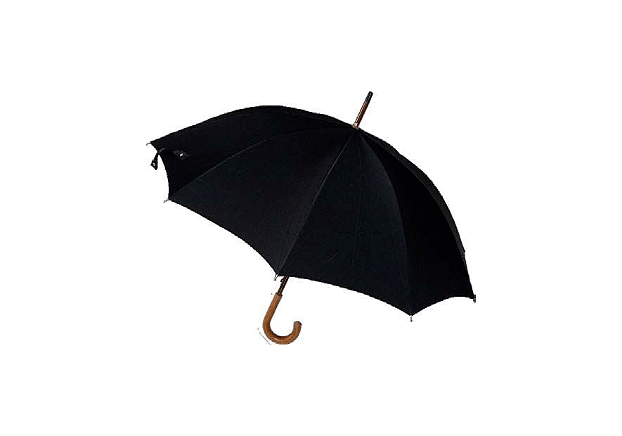 Guy De Jean GDJ AUTEUIL parapluie canne homme auteuil canne h