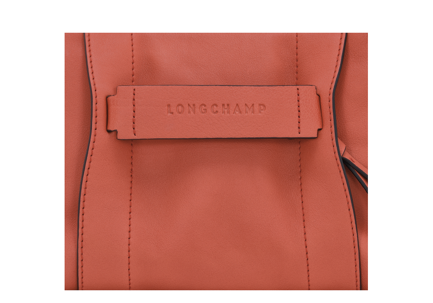 Longchamp 10199HCV - CUIR DE VEAU - SIENNE sac bandoulière s longchamp 3d Sacs à mains