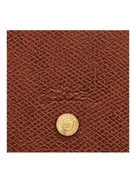 Longchamp 10253/HYZ - CUIR DE VACHETTE - B sac bandoulière s épure Sacs à mains