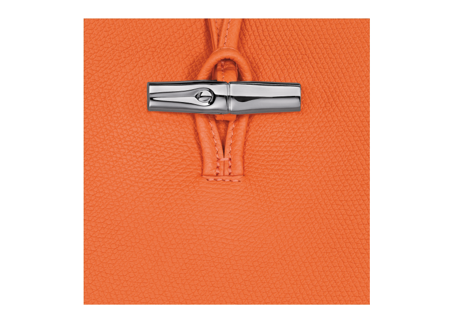 Longchamp 10281HFP - CUIR DE VACHETTE - OR sac porté épaule m le roseau Sacs à mains