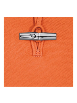 Longchamp 10281HFP - CUIR DE VACHETTE - OR sac porté épaule m le roseau Sacs à mains