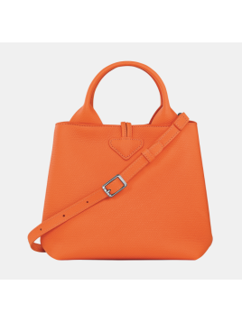 Longchamp 10273HFP - CUIR DE VACHETTE - OR sac porté main s le roseau Sacs à mains