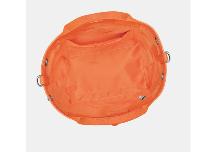 Longchamp 10273HFP - CUIR DE VACHETTE - OR sac porté main s le roseau Sacs à mains