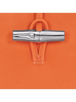 Longchamp 10273HFP - CUIR DE VACHETTE - OR sac porté main s le roseau Sacs à mains