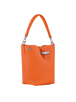 Longchamp 10279HFP - CUIR DE VACHETTE - OR sac seau xs roseau Sacs à mains