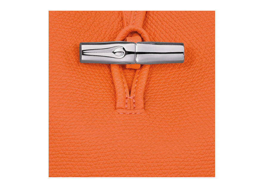 Longchamp 10279HFP - CUIR DE VACHETTE - OR sac seau xs roseau Sacs à mains