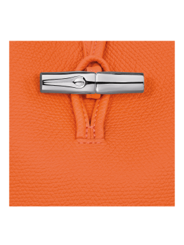 Longchamp 10279HFP - CUIR DE VACHETTE - OR sac seau xs roseau Sacs à mains