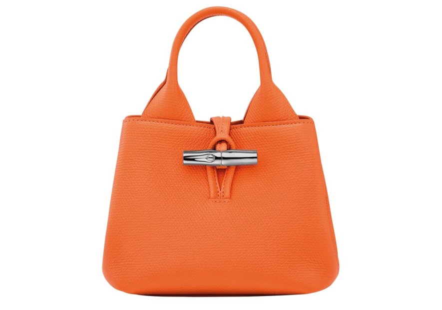 Longchamp 10278HFP - CUIR DE VACHETTE - OR sac à main xs roseau Sacs à mains