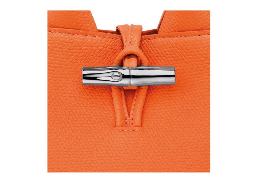 Longchamp 10278HFP - CUIR DE VACHETTE - OR sac à main xs roseau Sacs à mains