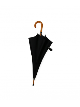 Maison Pierre Vaux VX-3005 parapluie homme canne vaux érable canne h