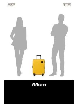 Samsonite 146913/KL9001 valise cabine samsonite intuo valise cabine