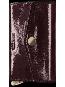 Secrid ENA porte cartes eveloppe secrid prénium p.cartes credit