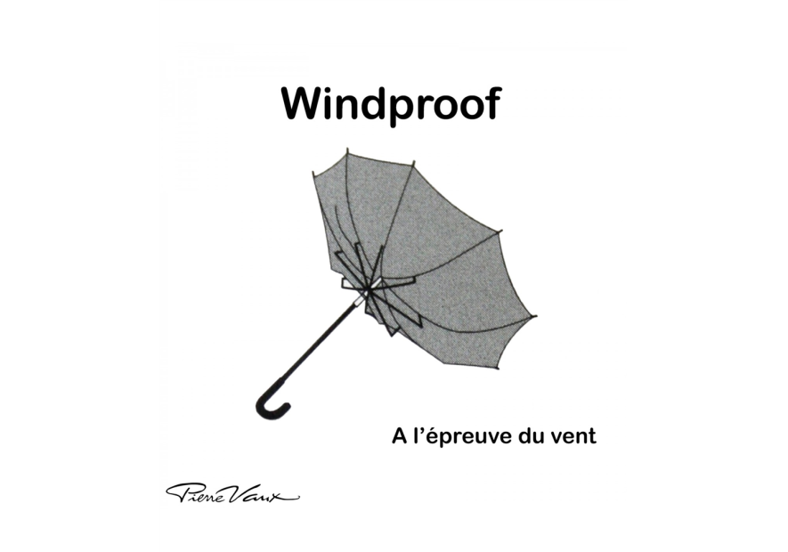 Maison Pierre Vaux 2040 - POLYESTER/TEFLON - NOIR vaux-le chic-parapluie homme pliant auto Petite maroquinerie Maison Pierre Vaux 2040 - POLYESTER/TEFLON - NOIR vaux-le chic-parapluie homme pliant auto Petite maroquinerie