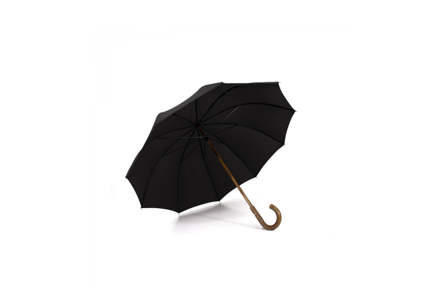 Maison Pierre Vaux VX-5049 parapluie canne le berger canne mixte
