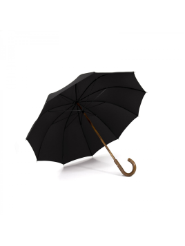 Maison Pierre Vaux VX-5049 parapluie canne le berger canne mixte