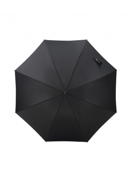 Maison Pierre Vaux VX-3010 parapluie canne homme auto la simplicité canne h
