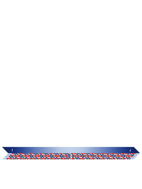 Longchamp 51010/SOI ruban origami carre de soie