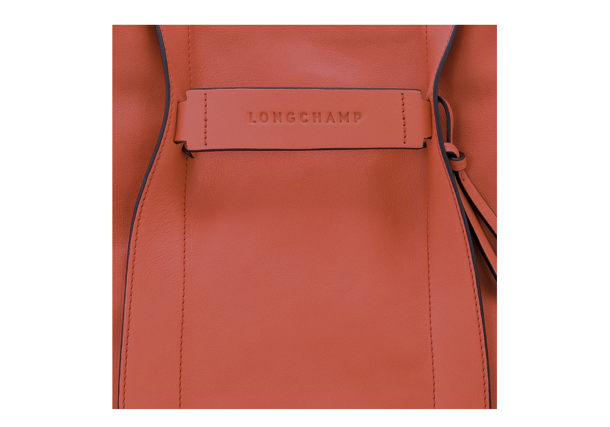 Longchamp 10225HCV - CUIR DE VEAU - SIENNE sac besace m longchamp 3d Sac business