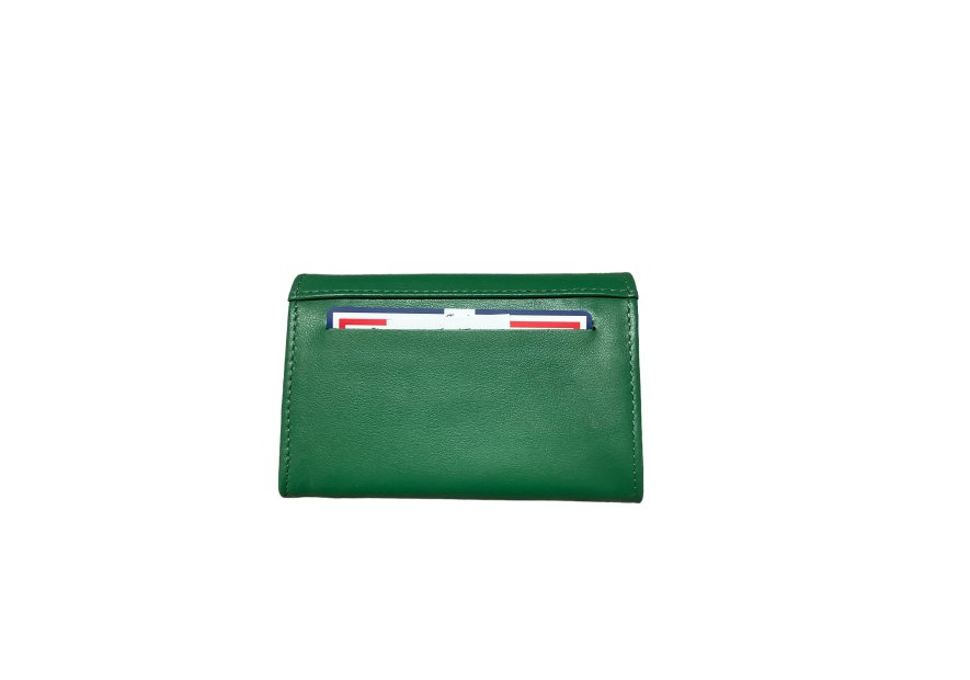 Frandi 295/23 RFID - VEAU - VERT FÔRET frandi - veau -porte monnaie rabat long Porte-monnaie