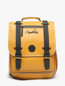 Caméléon VIW-SD39 - POLYESTER RECYCLÉ - Y sac à dos scolaire caméléon vintage north cartable Scolaire