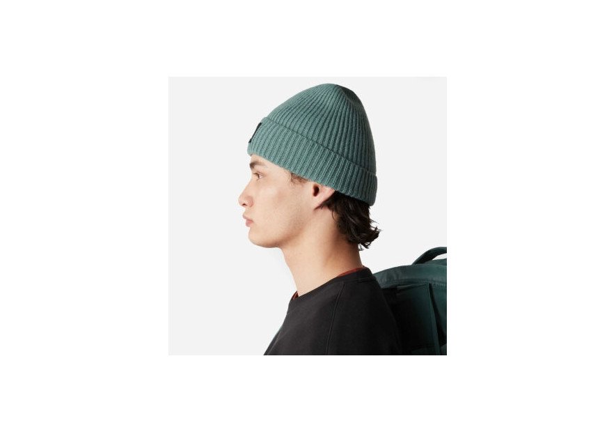 The North Face SALTY LINED BEANIE - ACRYLIQUE - bonnet salty the north face Accessoires
