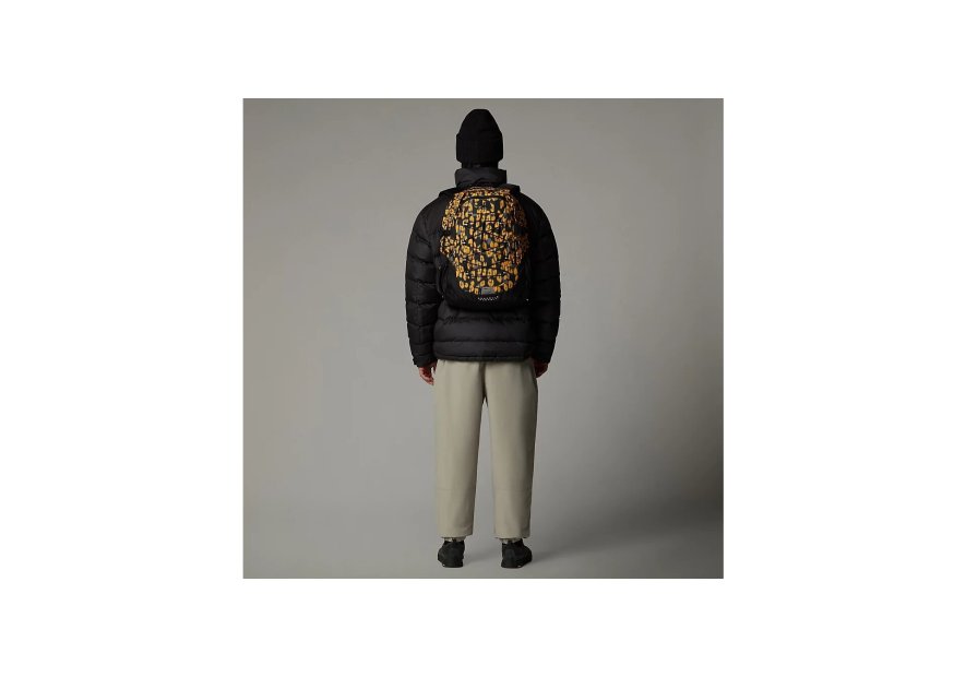 The North Face BOREALIS CLASSIC - NYLON BALISTI the north face - borealis classic - sac à dos l Maroquinerie